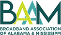 BAAM logo
